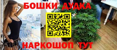mdpv Кандалакша