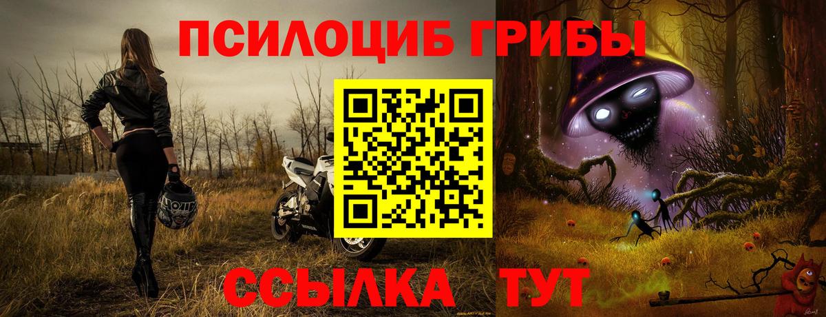Галлюциногенные грибы Cubensis Моздок
